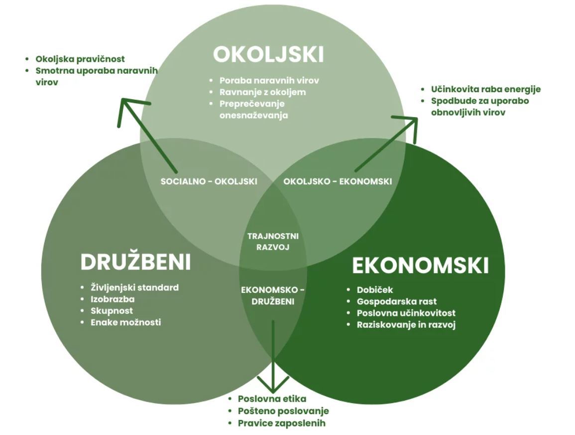 Trajnostni razvoj prestavljajo trije stebri: okoljski, družbeni in ekonomski (Vir: SIQ)