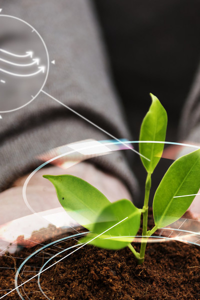 research-projects--innovation/smart-agriculture-iot-with-hand-planting-tree-background
