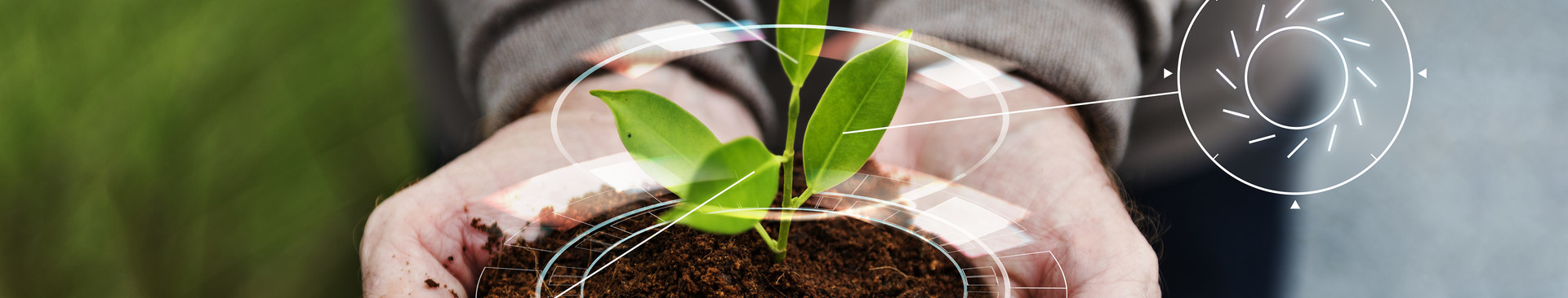 research-projects--innovation/smart-agriculture-iot-with-hand-planting-tree-background